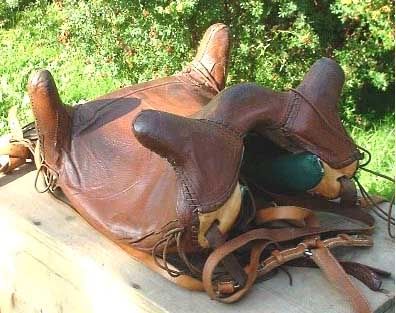 [Image: saddle.jpg]