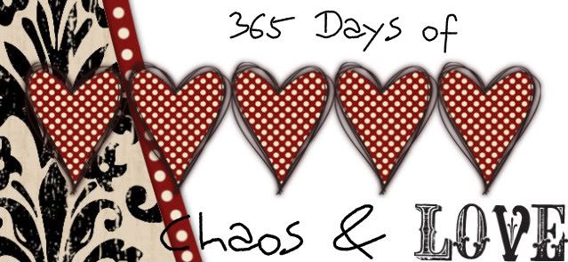 365 Days of Chaos and Love