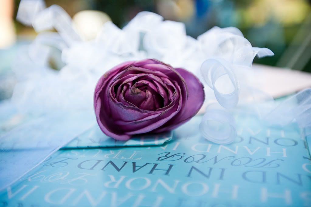 IMAGE: http://i20.photobucket.com/albums/b243/pigtailpat/_AT03704.jpg