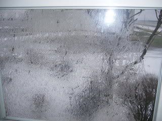 Weather Check