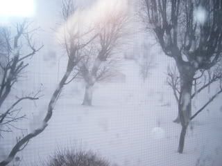 Weather Check
