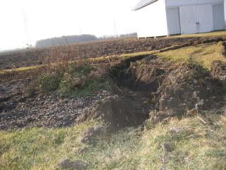 What a Mess! ( Images)