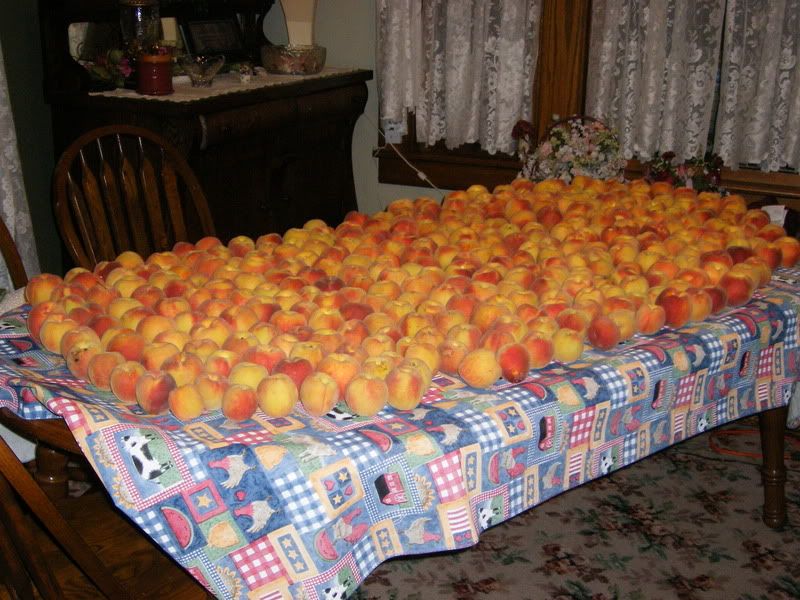 How bout them peaches!