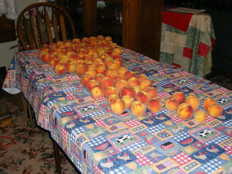 How bout them peaches!