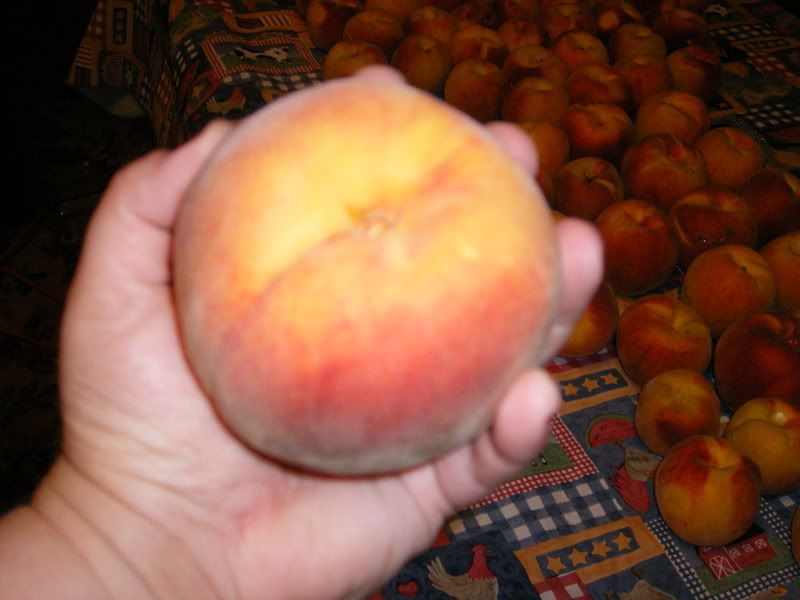 How bout them peaches!