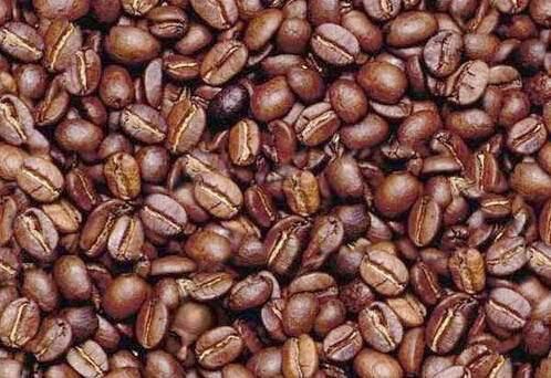 Can You Find Him?