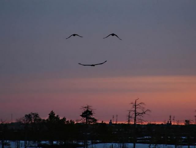 God's Way of Saying .. HAVE A NICE DAY!!
