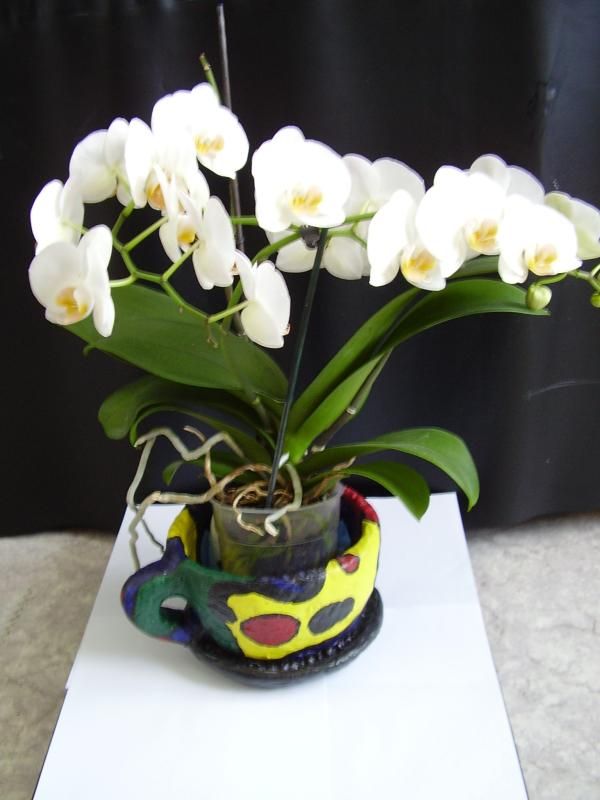 Opgekweekte witte Orchidees eigen foto photo opgekweekte Orchidee in kunst Boetseerpotdoor mezelf gemaakt.jpg
