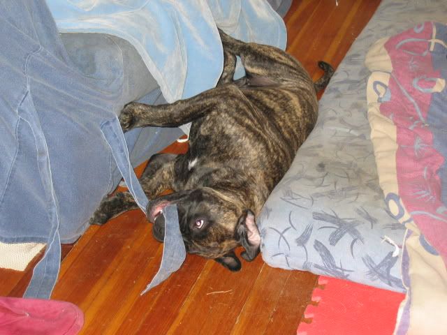 I can get it!  I can! 