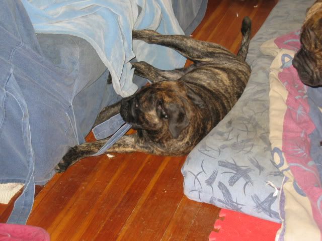 Ugh!  Come Off you stupid thing! 