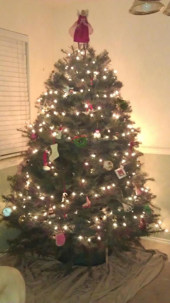 Our Christmas tree this year