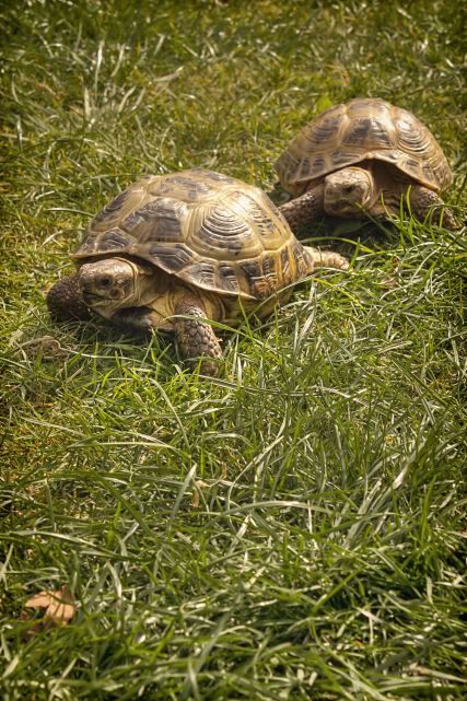 IMAGE: http://i20.photobucket.com/albums/b246/JACKMCENTIRE/1-7.jpg