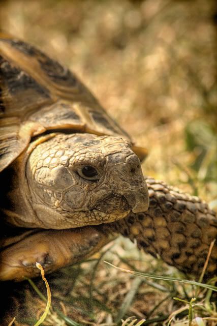 IMAGE: http://i20.photobucket.com/albums/b246/JACKMCENTIRE/2-6.jpg