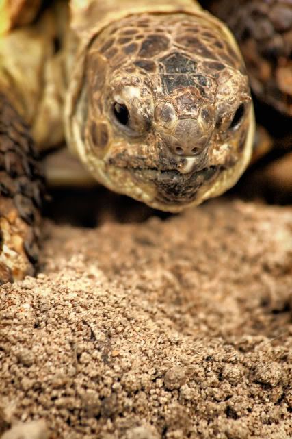 IMAGE: http://i20.photobucket.com/albums/b246/JACKMCENTIRE/3-5.jpg