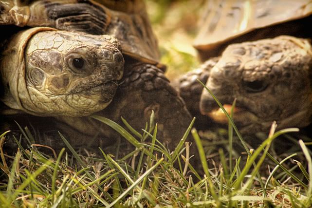 IMAGE: http://i20.photobucket.com/albums/b246/JACKMCENTIRE/4-5.jpg