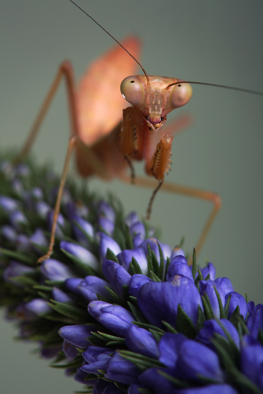 IMAGE: http://i20.photobucket.com/albums/b246/JACKMCENTIRE/DPP1_0001EDIT18.png