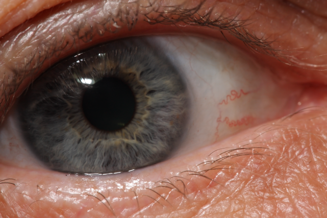 IMAGE: http://i20.photobucket.com/albums/b246/JACKMCENTIRE/DPP1_0001small-2.png