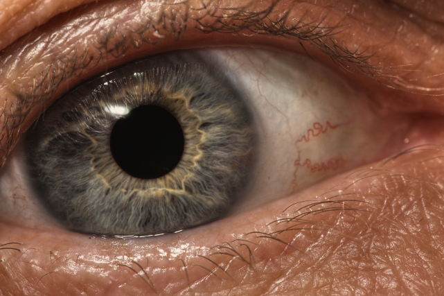 IMAGE: http://i20.photobucket.com/albums/b246/JACKMCENTIRE/DPP1_0002_1_4_5_3_tonemappededit2sm.png