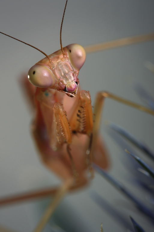 IMAGE: http://i20.photobucket.com/albums/b246/JACKMCENTIRE/DPP2_0001EDIT18.png