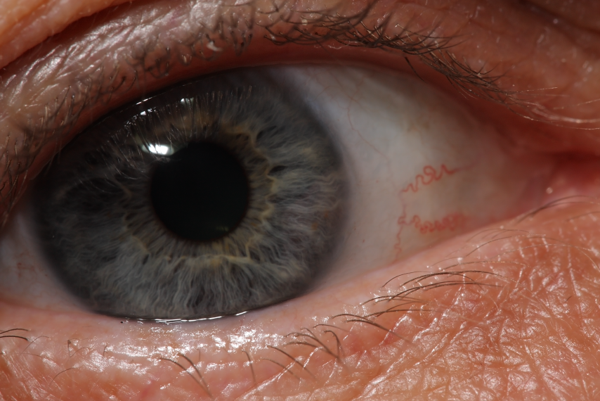 IMAGE: http://i20.photobucket.com/albums/b246/JACKMCENTIRE/DPP2_0001editsmall.png