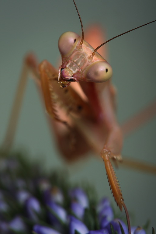 IMAGE: http://i20.photobucket.com/albums/b246/JACKMCENTIRE/DPP4_0001EDIT18.png