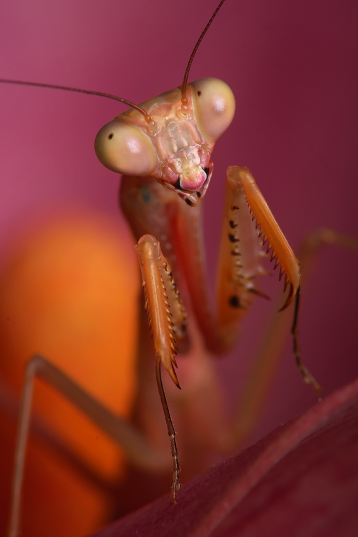 IMAGE: http://i20.photobucket.com/albums/b246/JACKMCENTIRE/DPP5_0002EDIT18.png