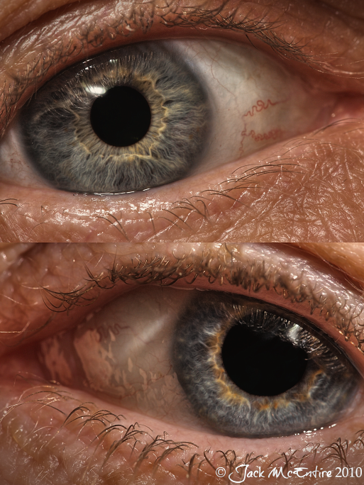 IMAGE: http://i20.photobucket.com/albums/b246/JACKMCENTIRE/Golden1small.png