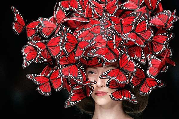 McQueen Butterflies