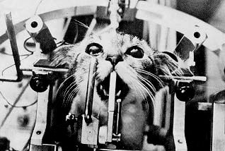 Photobucket - Video and Image Hosting Photobucket - Video and Image Hosting