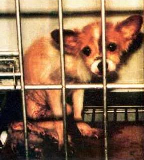 Photobucket - Video and Image Hosting Photobucket - Video and Image Hosting