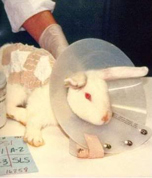 Photobucket - Video and Image Hosting Photobucket - Video and Image Hosting