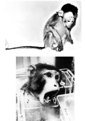 Photobucket - Video and Image Hosting Photobucket - Video and Image Hosting