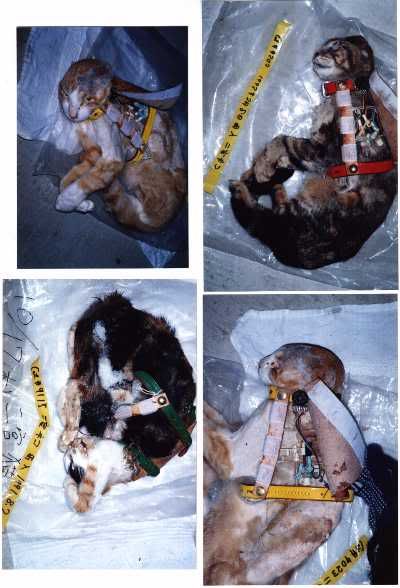 Photobucket - Video and Image Hosting Photobucket - Video and Image Hosting