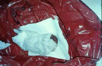 Photobucket - Video and Image Hosting Photobucket - Video and Image Hosting