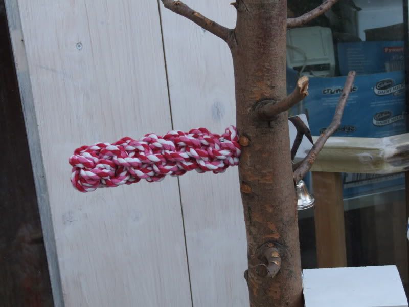 homemade parrot stand