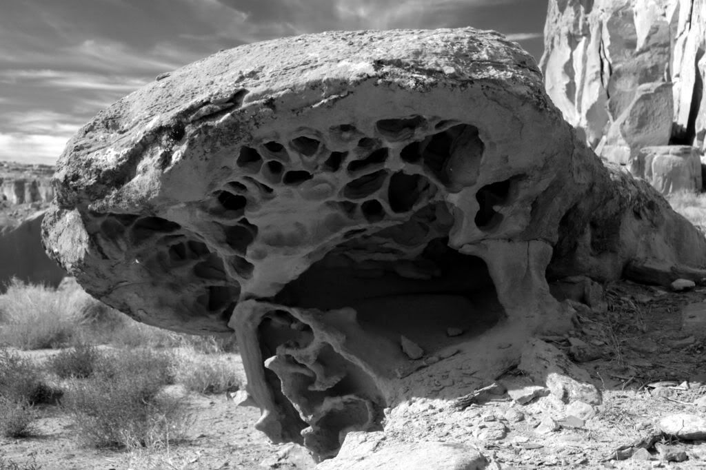 IMAGE: http://i20.photobucket.com/albums/b248/BeyondGomer/Chaco/IMG_5016.jpg