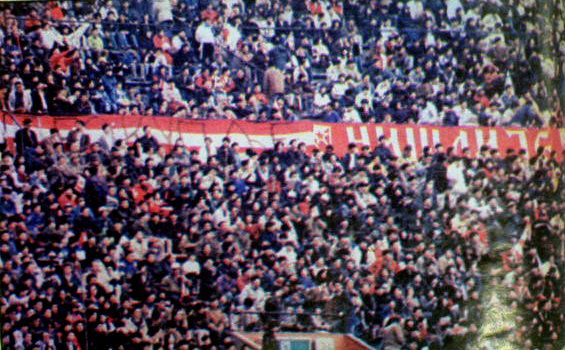 [Image: tokio1.jpg]