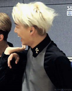 tumblr_n78v35r39B1ru8saco1_250_zpsr9oq6b