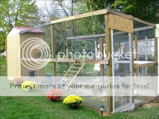 Chicken Coop - BackYard Chickens Community