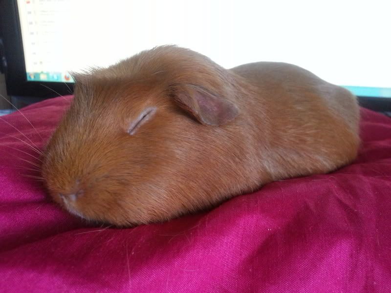 20120711_150629.jpg