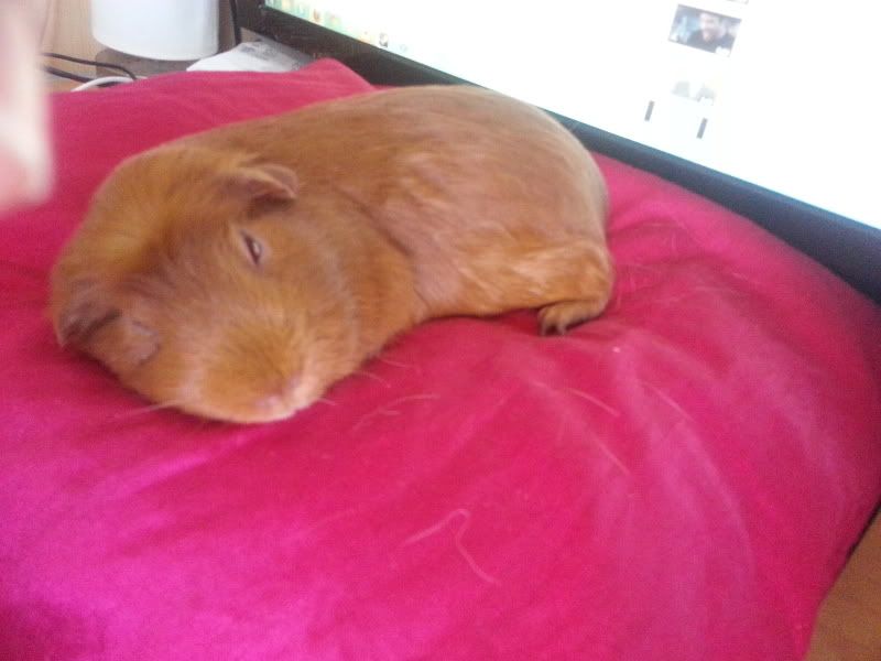 20120711_153846.jpg