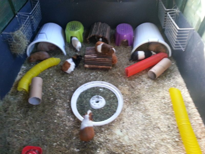20121021_134325.jpg