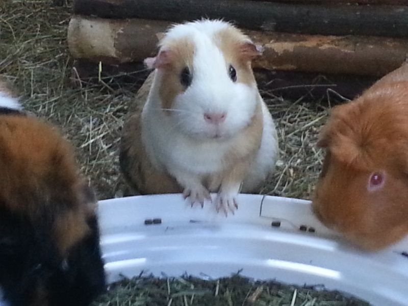 20121021_134628.jpg