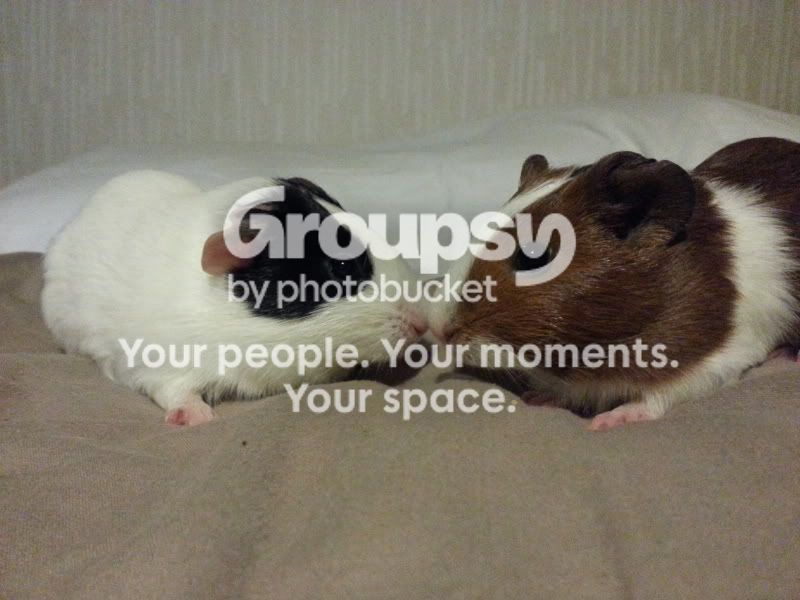 20130223_175736_zpsbd8c8dc2.jpg