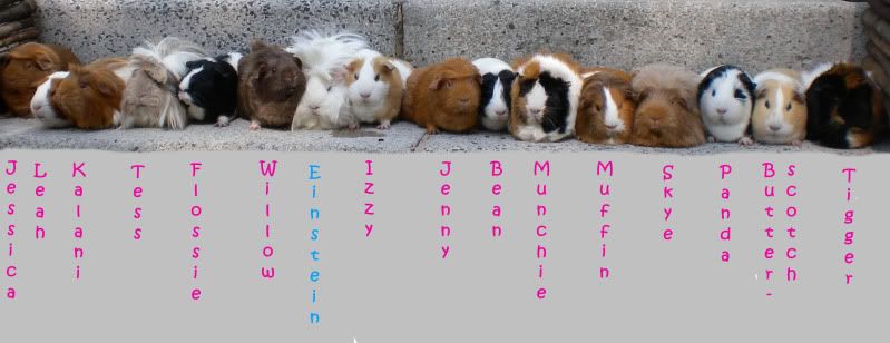 Lineup.jpg
