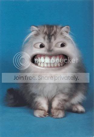 FunnySmile2.jpg