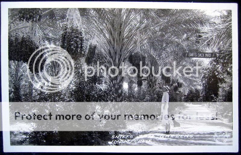 Indio CA~1930s SNIFFS DATE GARDENS~ FRASHERS RPPC  