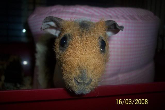 doris13.jpg