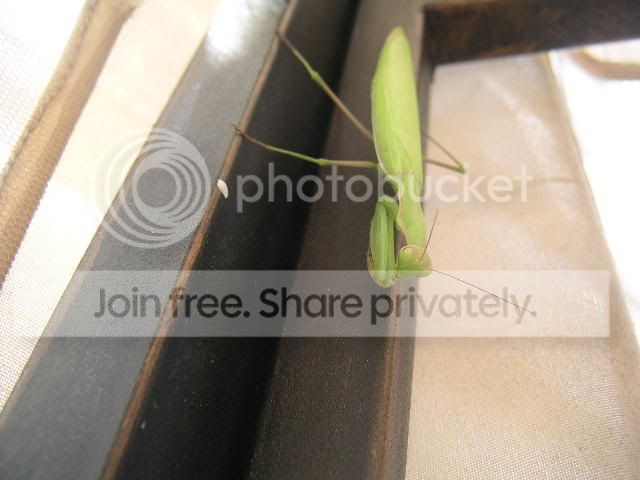 Photobucket - Video and Image Hosting