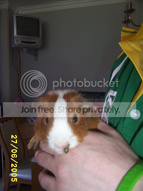 Picture007.jpg
